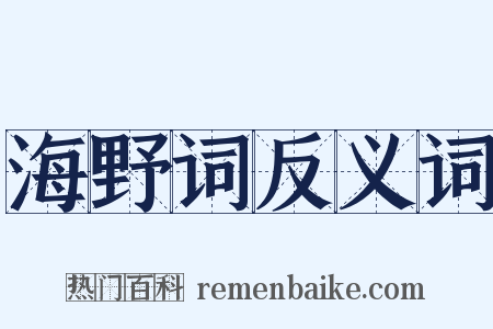 海野词反义词是什么意思的图片
